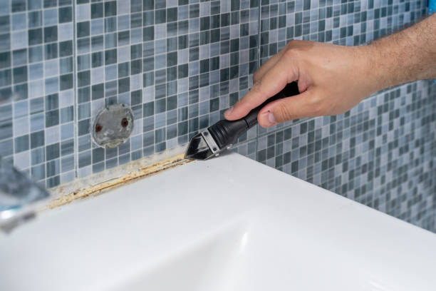 Best Mold Testing  in Centreville, MI